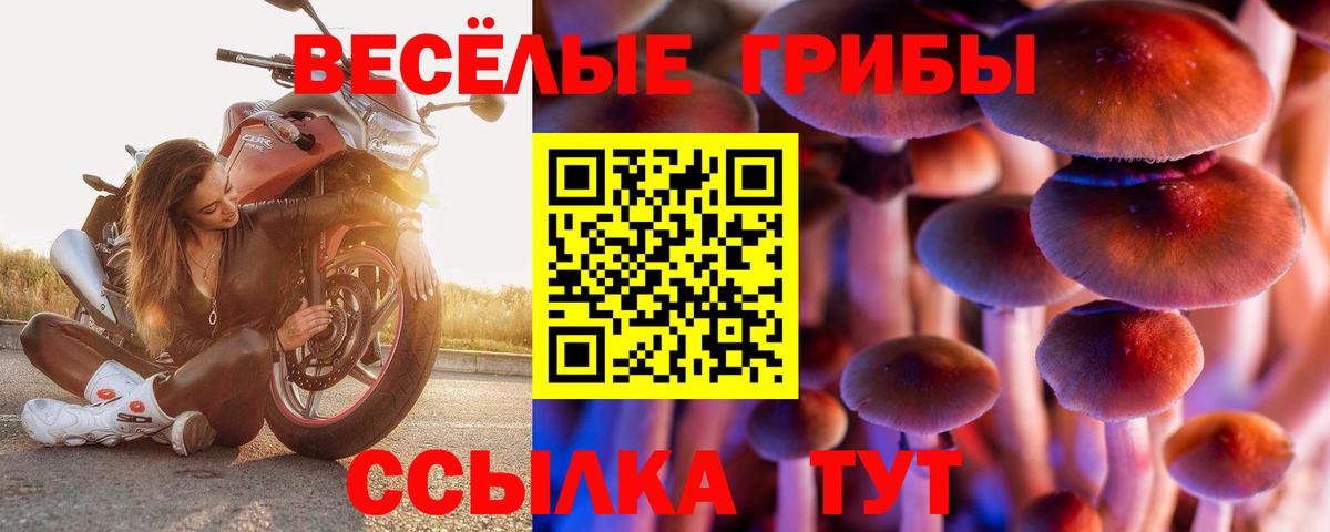 Елабуга  Псилоцибиновые грибы MAGIC MUSHROOMS  Вход с VPN  Галлюциногенные грибы MAGIC MUSHROOMS 